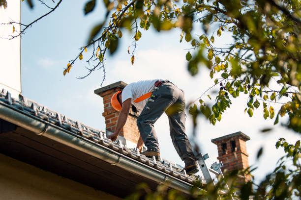 Professional Roofing Contractor in Quincy, MI